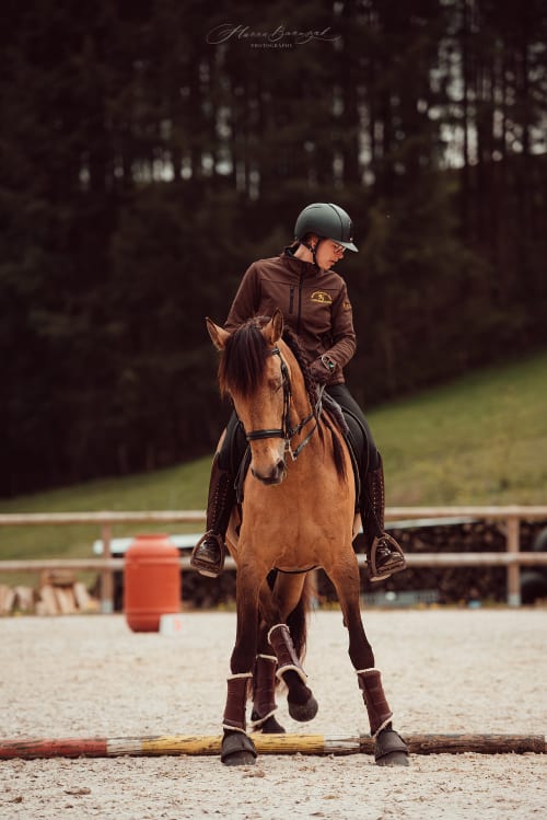 /_vercel/image?url=/Equitation+work+with+horse.&w=1536&q=100