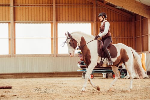 /_vercel/image?url=/Photo+d'une+cavali%C3%A8re+qui+monte+un+cheval+bicolor+dans+une+%C3%A9curie+au+Luxembourg.&w=1536&q=100