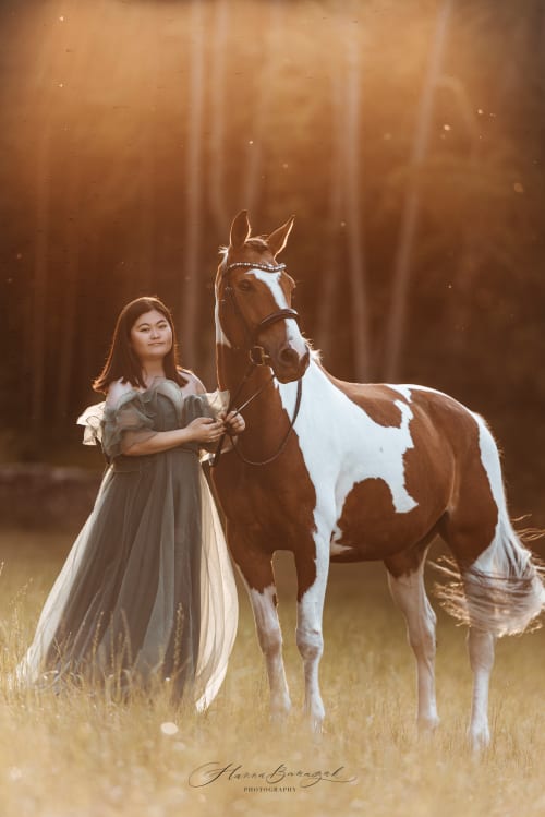 /_vercel/image?url=/Photographie+d'un+cheval+bicolore+au+Luxembourg.&w=1536&q=100