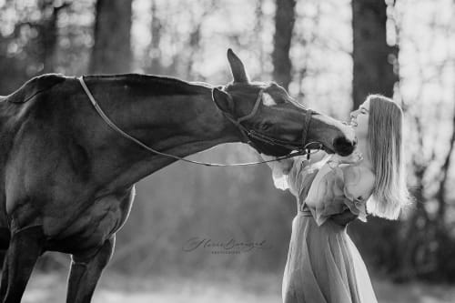 /_vercel/image?url=/Photo+noir+et+blanc+avec+un+cheval+au+printemps.&w=1536&q=100