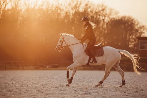 /_vercel/image?url=/Canter+training+photography+with+sunset+in+Luxembourg.&w=1536&q=100