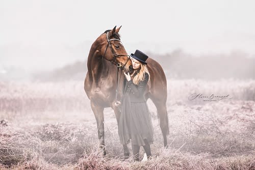 /_vercel/image?url=/S%C3%A9ance+photo+d'un+cheval+avec+du+brouillard+au+Luxembourg.&w=1536&q=100