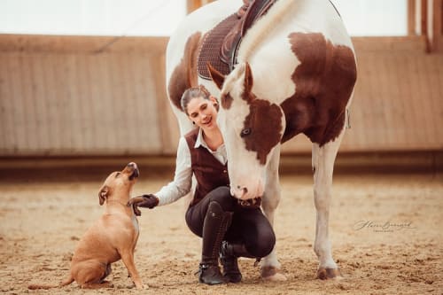 /_vercel/image?url=/Portrait+d'un+cheval+qui+regarde+un+chien+de+pr%C3%A8s+au+Luxembourg.&w=1536&q=100