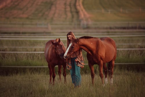 /_vercel/image?url=/Girl+with+two+horses+in+a+meadow.&w=1536&q=100