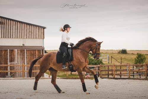 /_vercel/image?url=/Photographie+d'un+dressage+de+cheval+au+Luxembourg.&w=1536&q=100