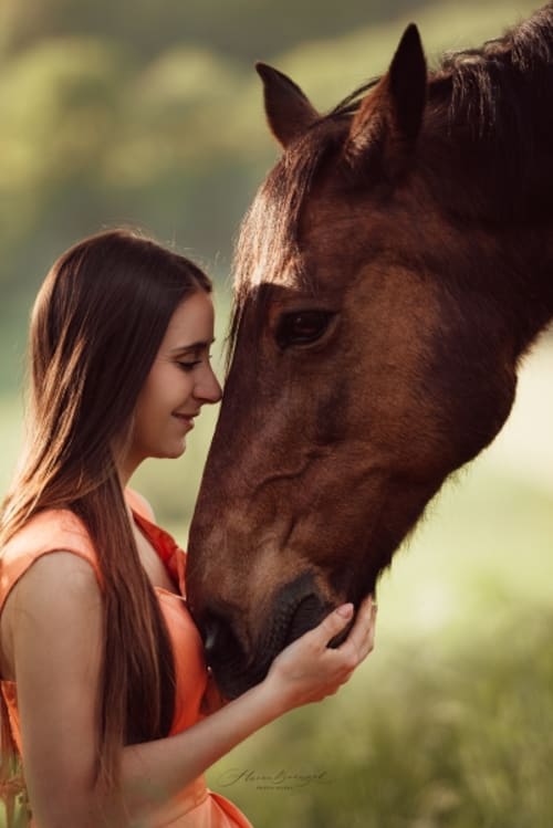 /_vercel/image?url=/Woman+looking+at+her+horse.&w=1536&q=100