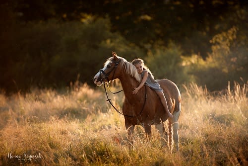 /_vercel/image?url=/Portrait+d'une+fille+qui+enlace+un+cheval+au+Luxembourg.&w=1536&q=100