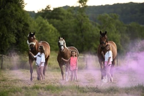 /_vercel/image?url=/Portrait+de+trois+enfants+et+trois+chevaux+avec+de+la+fum%C3%A9e+rose+au+Luxembourg.&w=1536&q=100