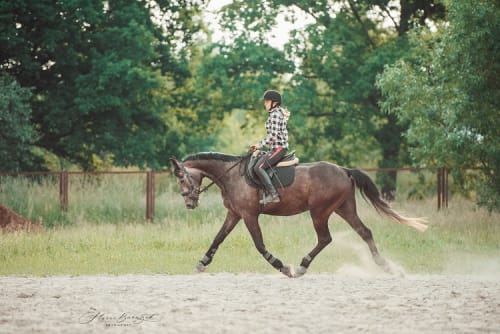 /_vercel/image?url=/Photoshoot+from+equine+training+in+Luxembourg.&w=1536&q=100