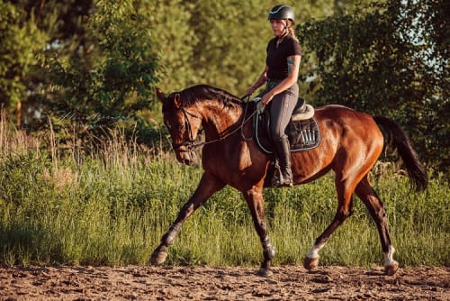 /_vercel/image?url=/Photo+d'equitation+au+Luxembourg.&w=1536&q=100