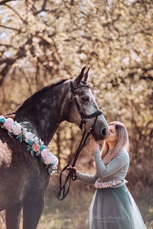 /_vercel/image?url=/Photo+d'un+cheval+avec+une+couronne+de+fleur+au+Luxembourg.&w=1536&q=100