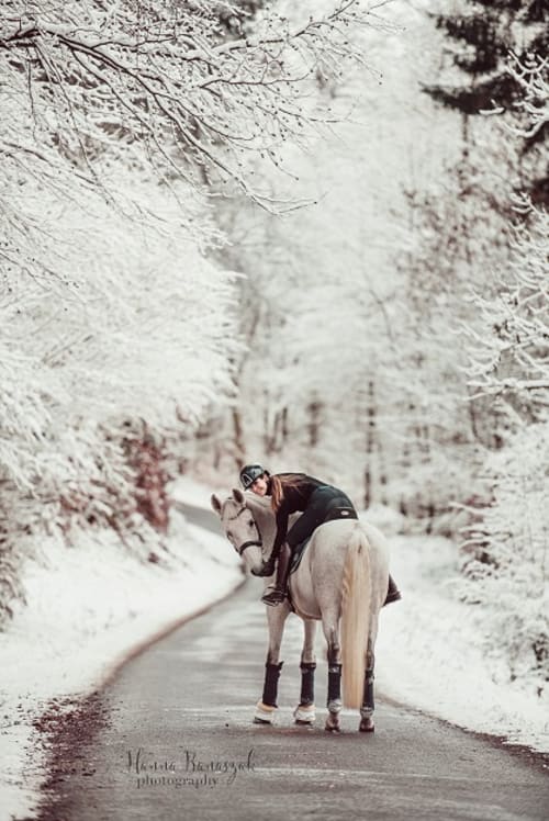 /_vercel/image?url=/Photo+d'un+cheval+et+sa+cavali%C3%A8re+dans+une+for%C3%AAt+enneig%C3%A9e+au+Luxembourg&w=1536&q=100