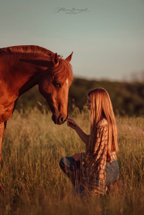 /_vercel/image?url=/Fille+avec+un+cheval+pendant+le+couch%C3%A9+de+soleil.&w=1536&q=100