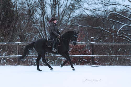 /_vercel/image?url=/Photo+d'un+cheval+mont%C3%A9+au+galop+dans+la+neige+au+Luxembourg.&w=1536&q=100