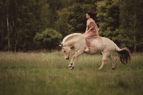 /_vercel/image?url=/Kobieta+galopuje+na+oklep+na+koniu.+&w=1536&q=100