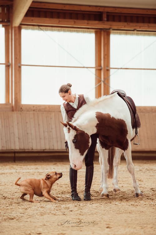 /_vercel/image?url=/Photoshoot+in+stable+with+horse+and+dog+in+Luxembourg.&w=1536&q=100