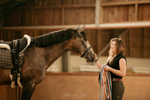 /_vercel/image?url=/Horse's+cuddling+after+longing+in+the+indoor+arena.&w=1536&q=100