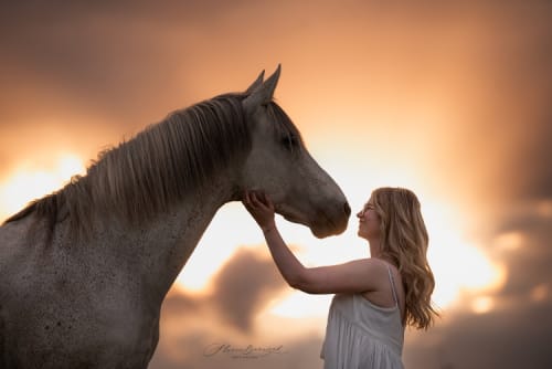 /_vercel/image?url=/Girl+with+horse+with+the+sunset+in+background.&w=1536&q=100
