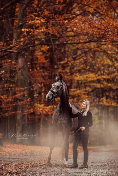 /_vercel/image?url=/Photo+d'un+cheval+gris+dans+une+nature+rouge+en+automne+au+Luxembourg.&w=1536&q=100