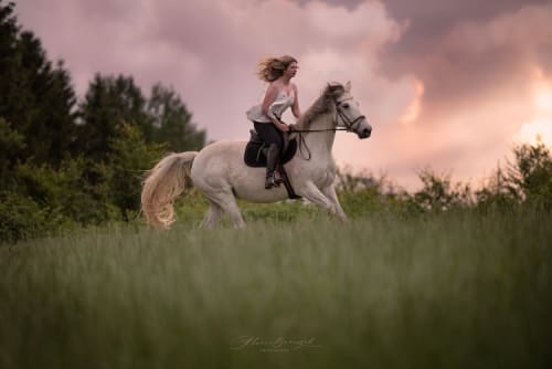 /_vercel/image?url=/Women+canters+on+horse+on+the+meadow+during+colorful+sunset.&w=1536&q=100