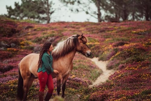 /_vercel/image?url=/Portrait+d'une+femme+et+un+cheval+Icelandais+en+Bretagne.&w=1536&q=100