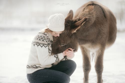/_vercel/image?url=/Girl+hugging+a+donkey.&w=1536&q=100