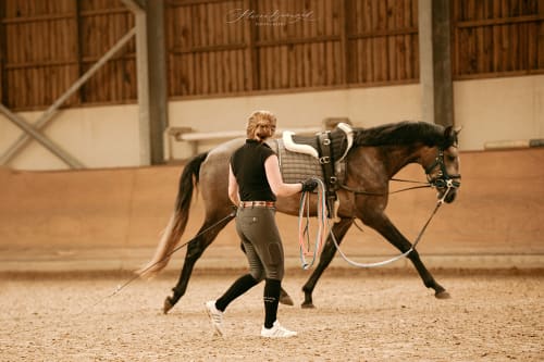 /_vercel/image?url=/Equine+photo+shoot+with+Lusitano+in+Bergem,+Luxembourg.&w=1536&q=100
