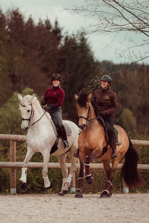 /_vercel/image?url=/Two+horses+training+in+equitation.&w=1536&q=100