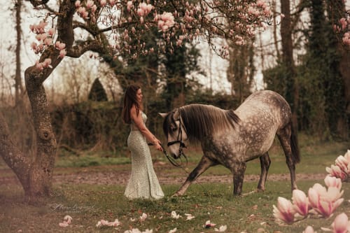 /_vercel/image?url=/Horse+kneeling+to+a+girl+in+a+forest.&w=1536&q=100