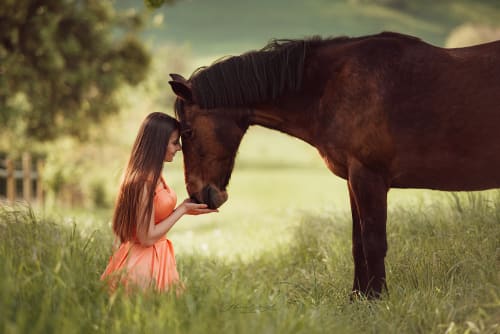 /_vercel/image?url=/Girl+and+horse+face+to+face.&w=1536&q=100