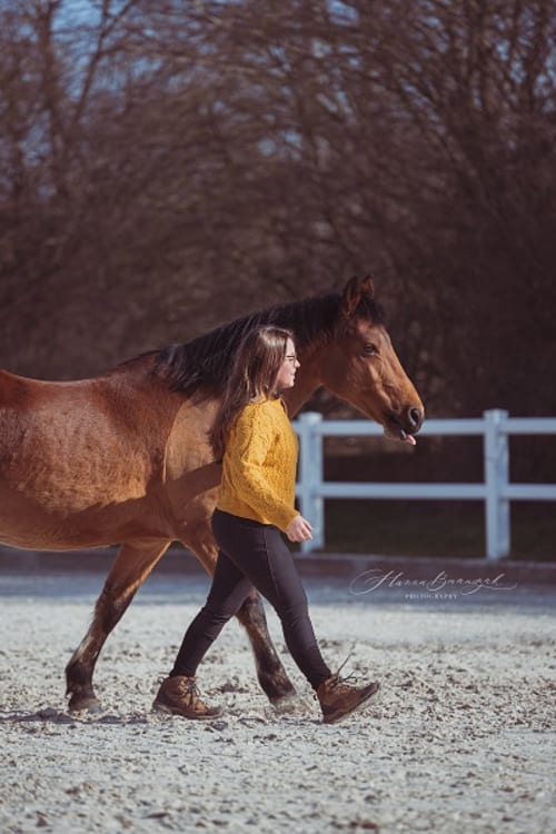 /_vercel/image?url=/Photography+of+natural+horsemanship+training++in+Bertrange,+Luxembourg.&w=1536&q=100