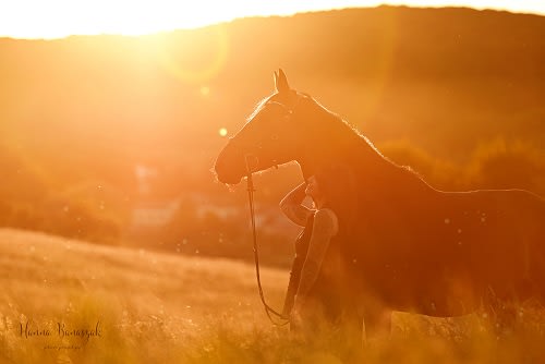 /_vercel/image?url=/Portrait+d'une+femme+et+un+cheval+sous+les+rayons+du+soleil+le+soir+au+Luxembourg.&w=1536&q=100