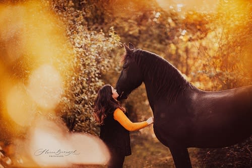 /_vercel/image?url=/Portrait+d'une+femme+qui+regarde+un+cheval+au+Luxembourg.&w=1536&q=100