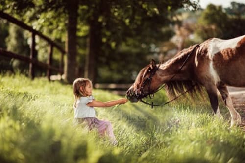 /_vercel/image?url=/Portrait+d'une+fille+qui+tend+la+main+%C3%A0+un+poney+au+Luxembourg.&w=1536&q=100