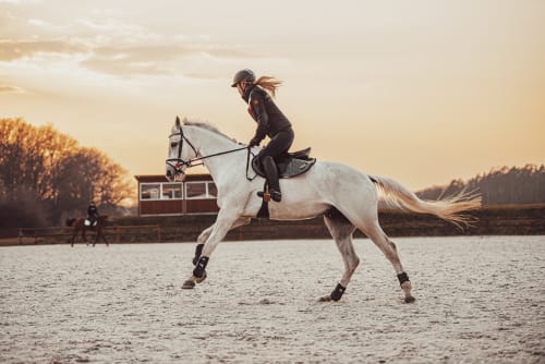 /_vercel/image?url=/Horse+running+photosession+in+Luxembourg.&w=1536&q=100