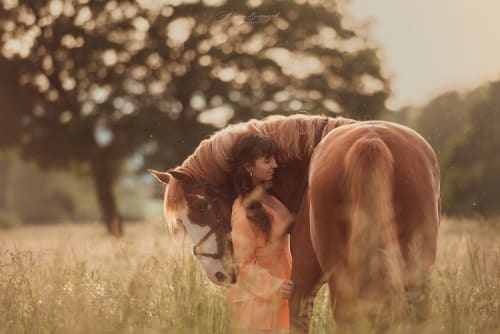 /_vercel/image?url=/Horse+hugging+a+girl+in+a+meadow.&w=1536&q=100