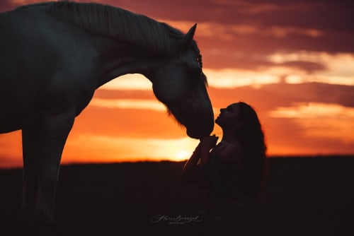 /_vercel/image?url=/Contours+of+girl+and+horse+during+the+sunset.&w=1536&q=100