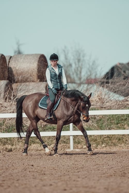 /_vercel/image?url=/Trot+equine+training+photo+in+Luxembourg&w=1536&q=100