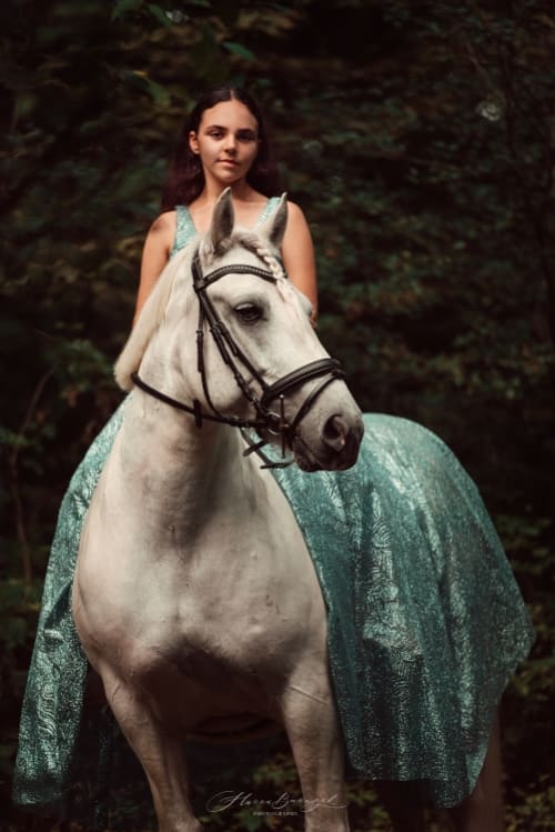 /_vercel/image?url=/Girl+in+blue+liong+dress+on+white+coldblood+horse+in+the+forest.&w=1536&q=100