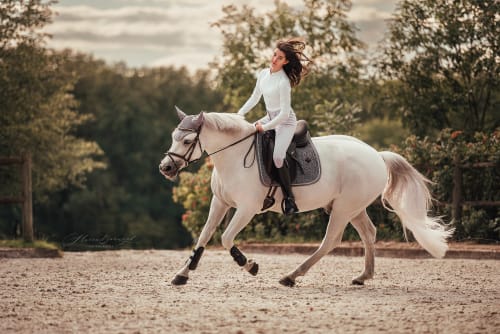 /_vercel/image?url=/Girl+in+elegant+clothes+is+cantering+on+white+horse.&w=1536&q=100
