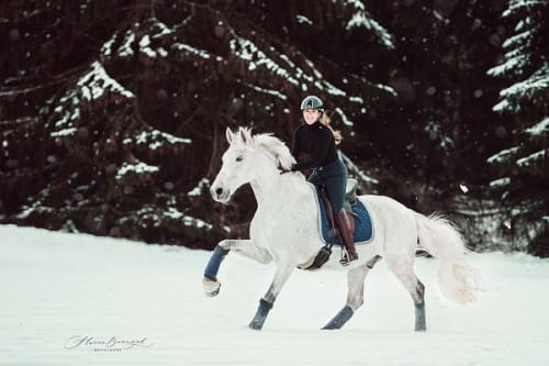 /_vercel/image?url=/White+PRE+canters+in+the+snow+in+Luxembourg.&w=1536&q=100