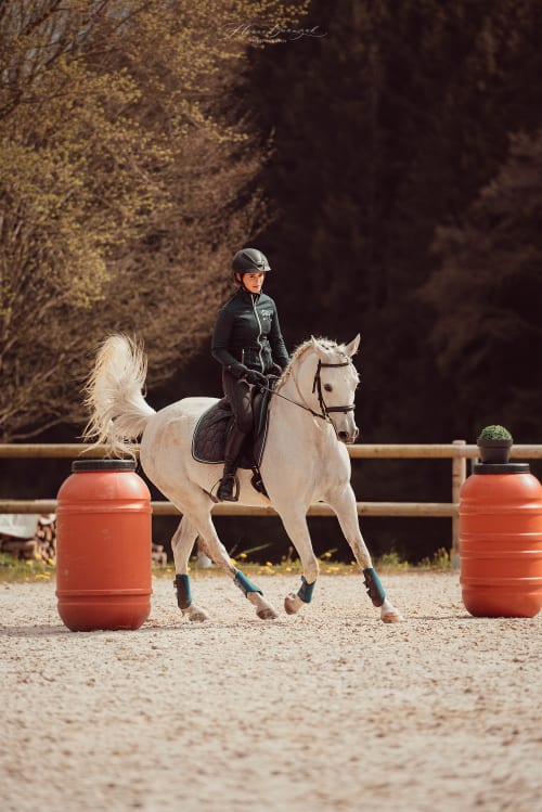 /_vercel/image?url=/Horse+cantering+during+equitation.&w=1536&q=100