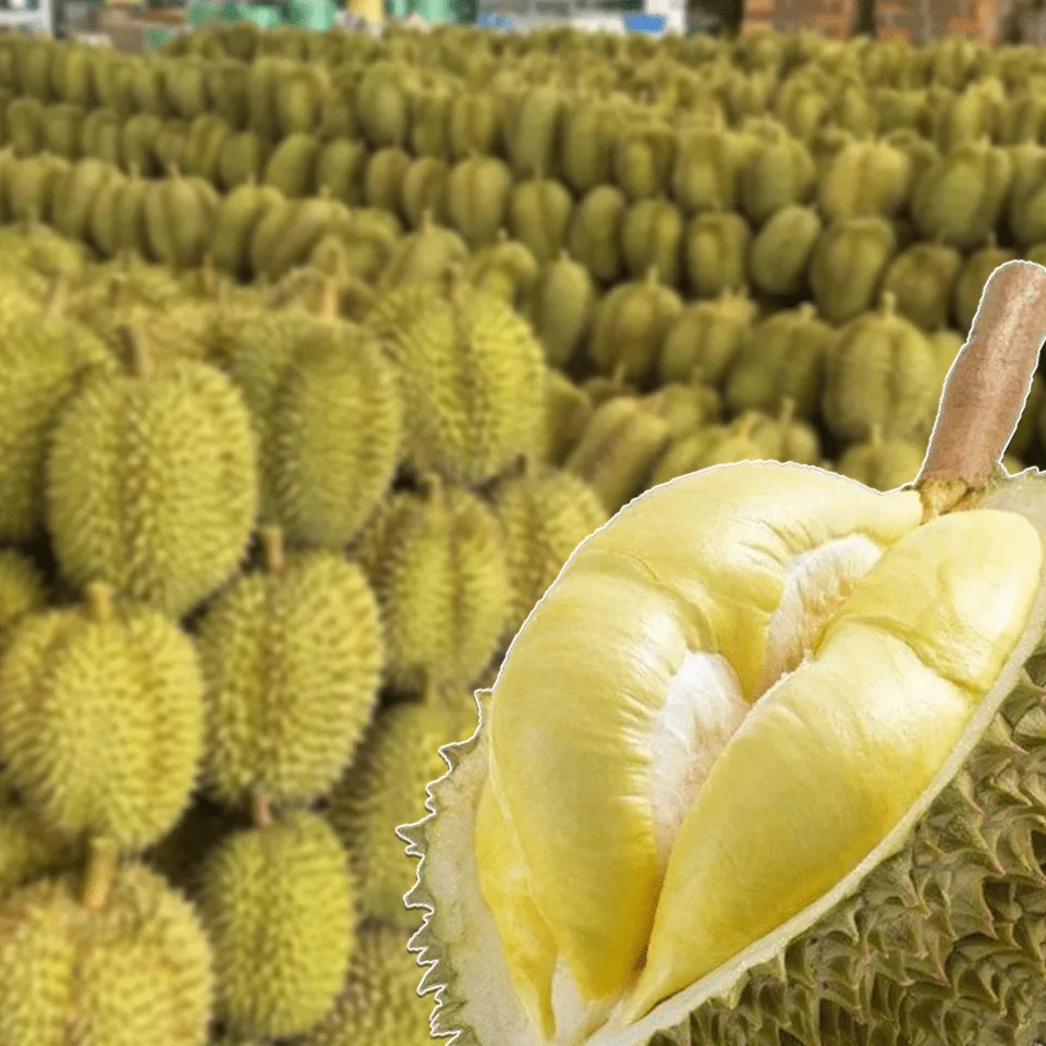 Fresh Durian