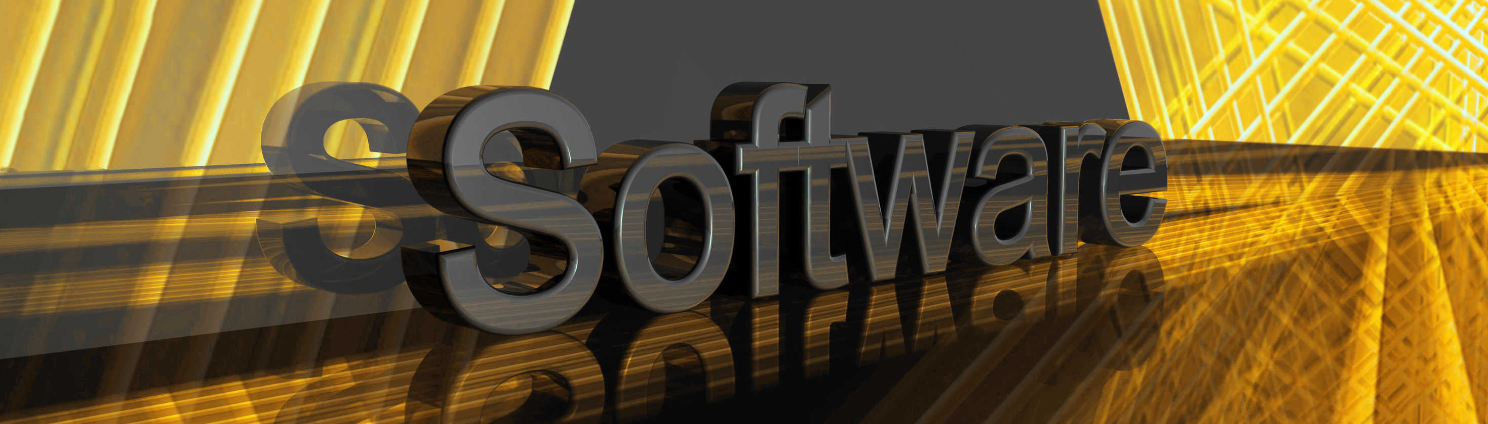 Software
