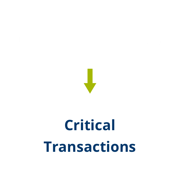 bic-critical-transactions