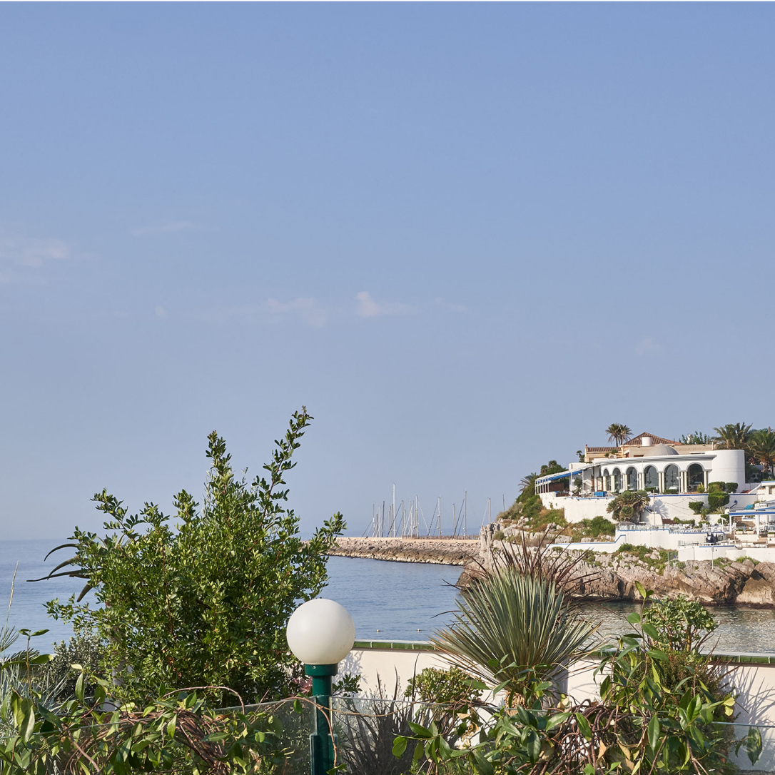 Vegetation on a terrace overlooking the sea.