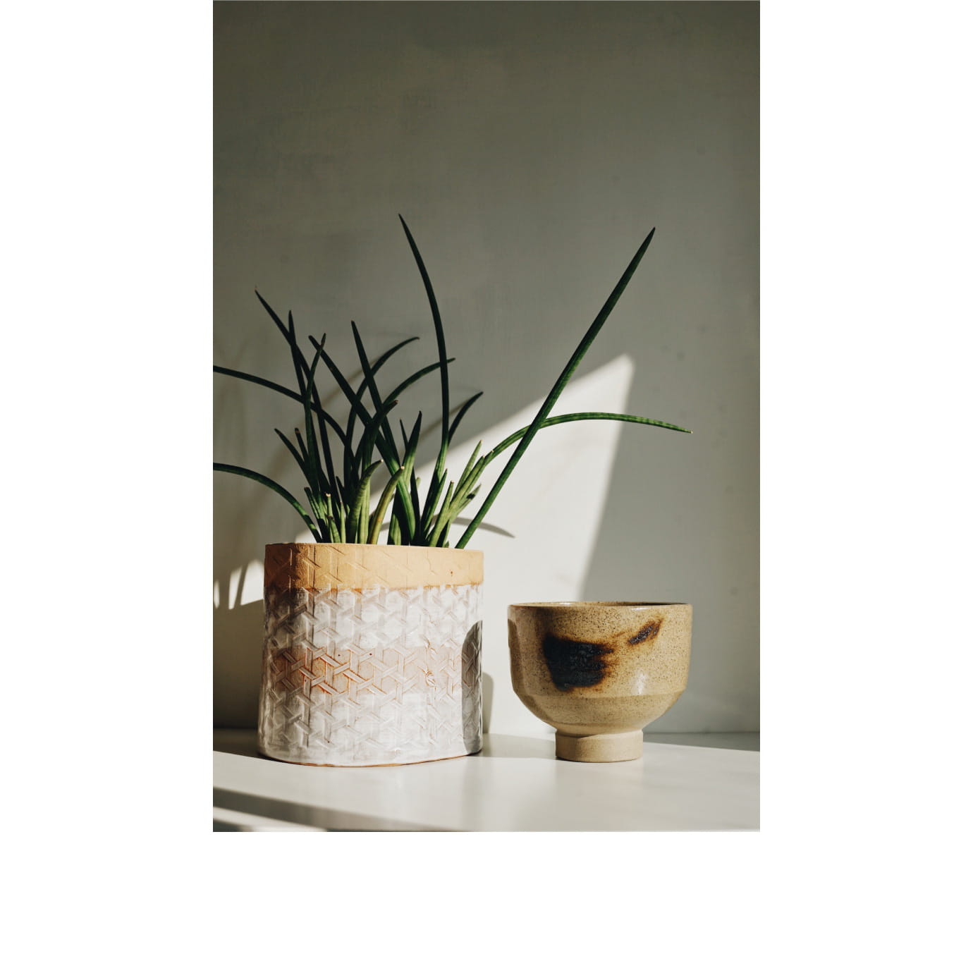 A ceramic bowl next to a plant in a ceramic vase.