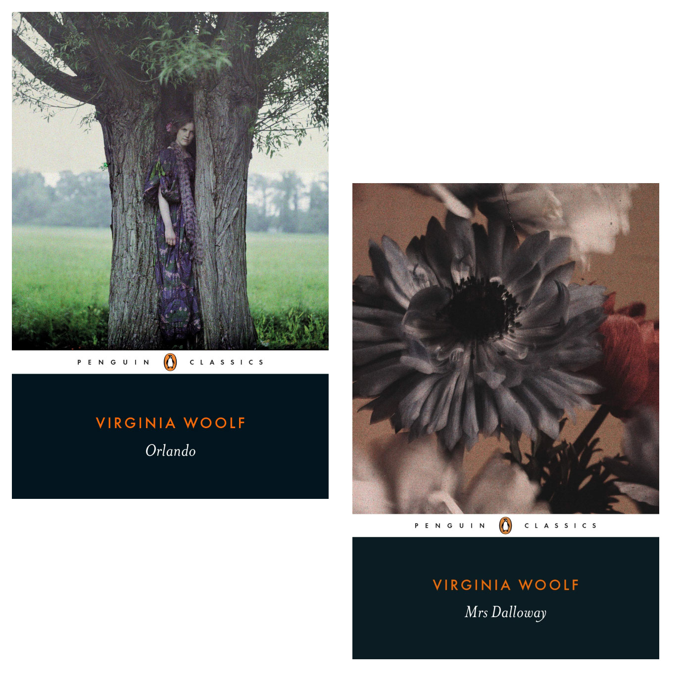 The bookcovers for Orlando and Mrs Dalloway.