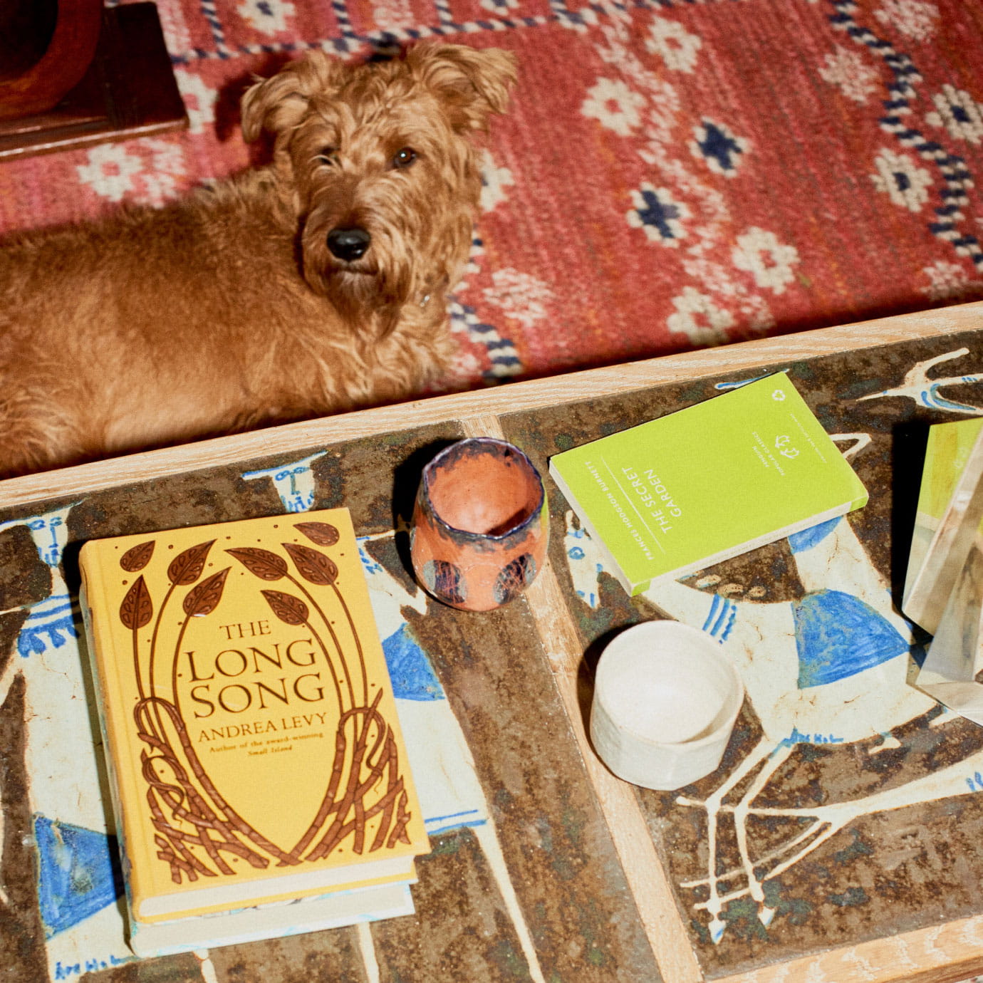 A dog on the floor next to a coffee table.