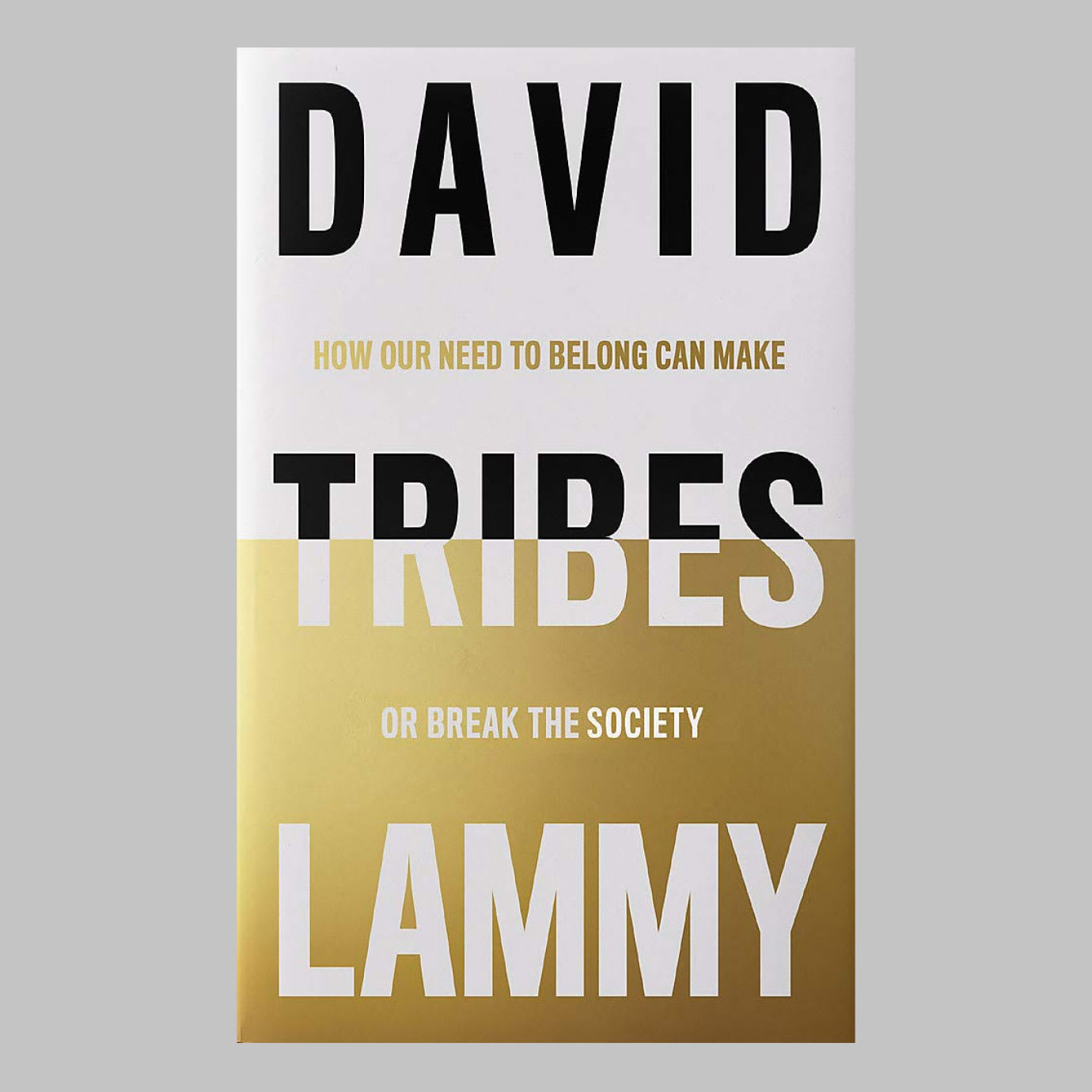 A bookcover on a grey background.